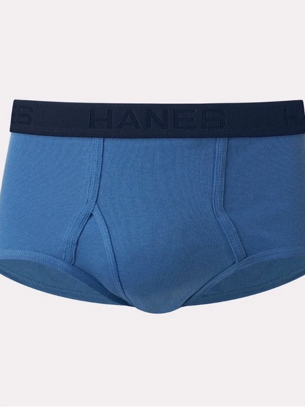 Hanes Men’s Tagless Briefs Blue 8-Pack